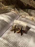 Starfish Earrings Stainless