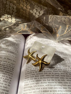 Starfish Earrings Stainless